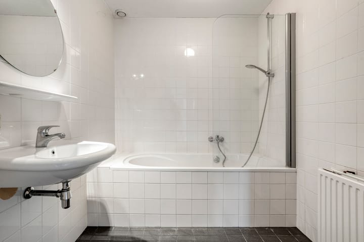 Foto 17 van Lisdodde 1