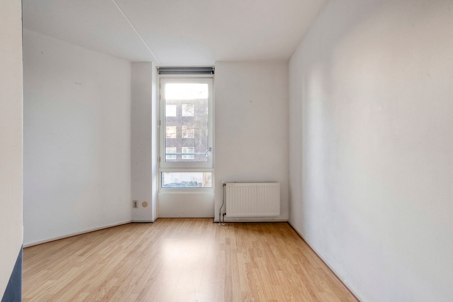 Foto 19 van Lisdodde 1