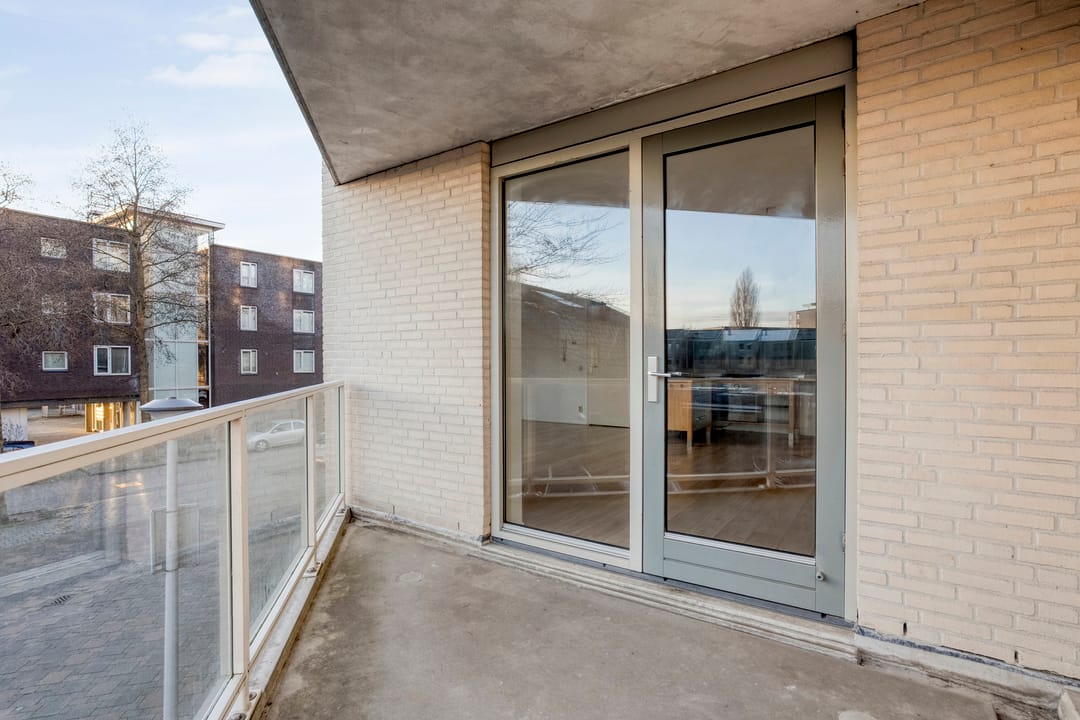 Foto 22 van Lisdodde 1