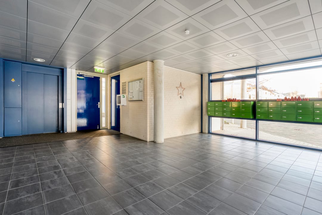 Foto 28 van Lisdodde 1