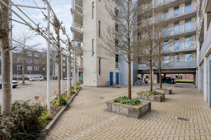 Foto 31 van Lisdodde 1