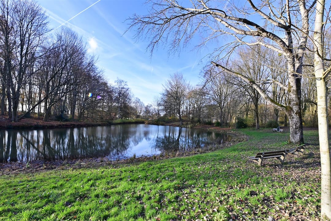 Foto 17 van Bijenmeent 116