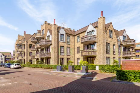 undefined main image