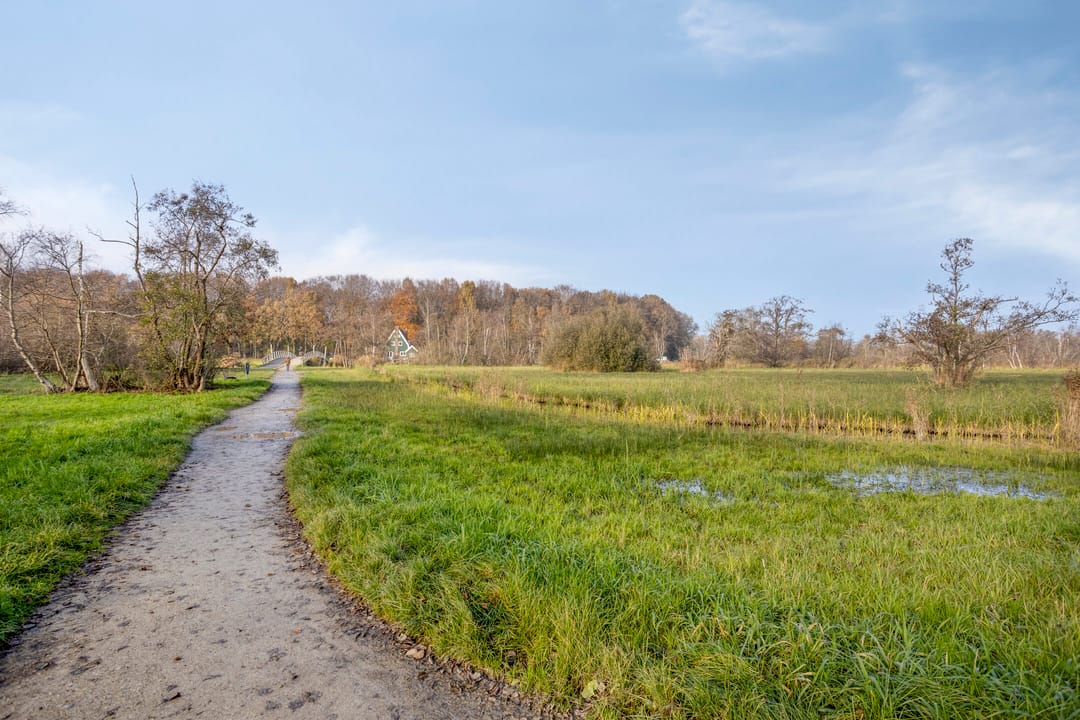 Photo 38 of Mgr.dr. H. Poelslaan 18