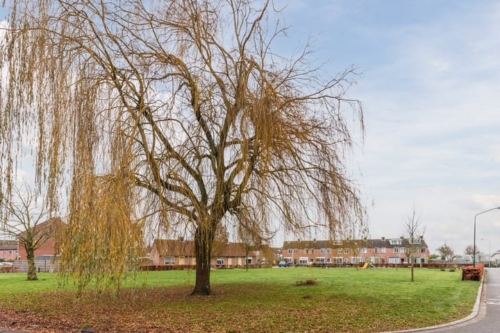 Foto 6 van De Lint 42