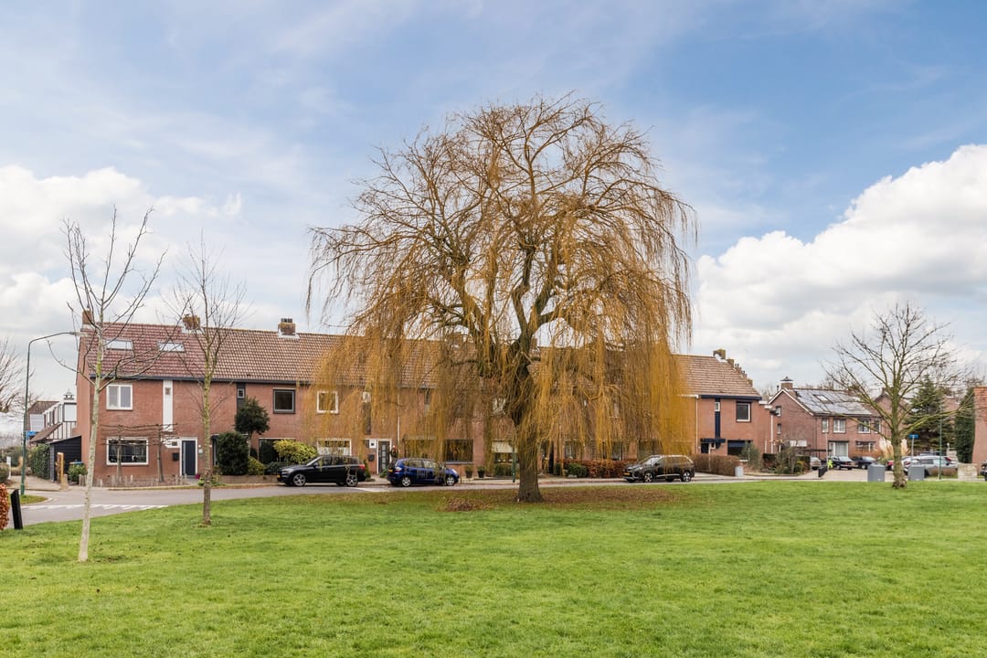 Foto 37 van De Lint 42