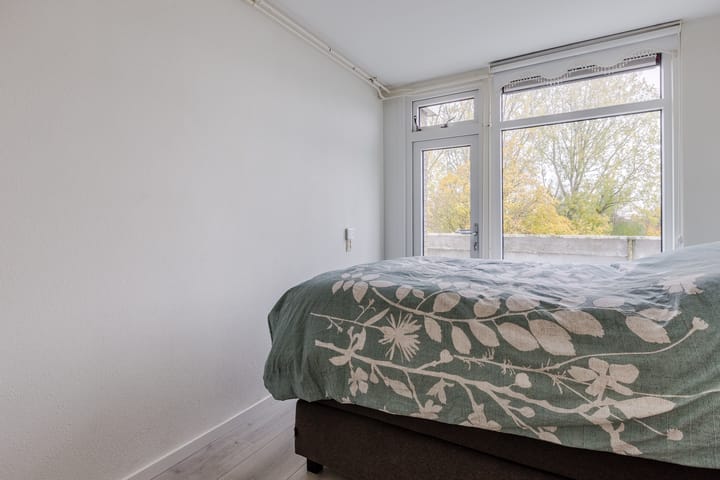 Photo 17 of Midscheeps 37