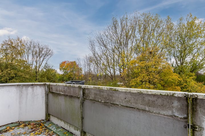 Photo 27 of Midscheeps 37