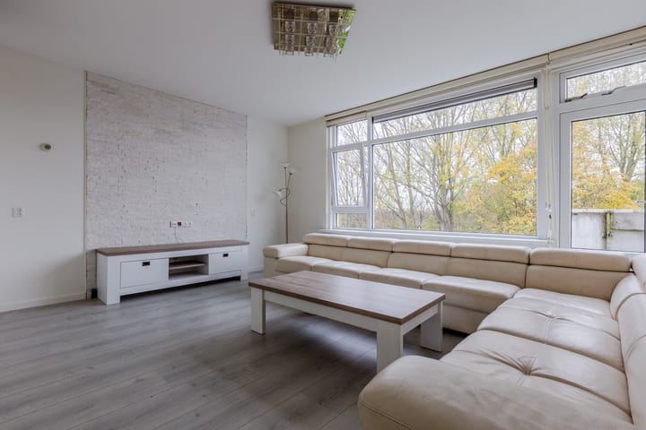 Photo 8 of Midscheeps 37