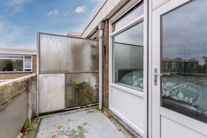 Photo 28 of Midscheeps 37