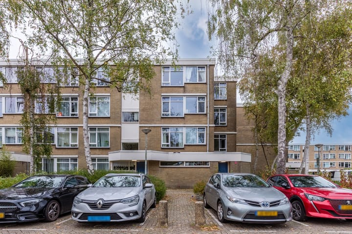 Photo 31 of Midscheeps 37