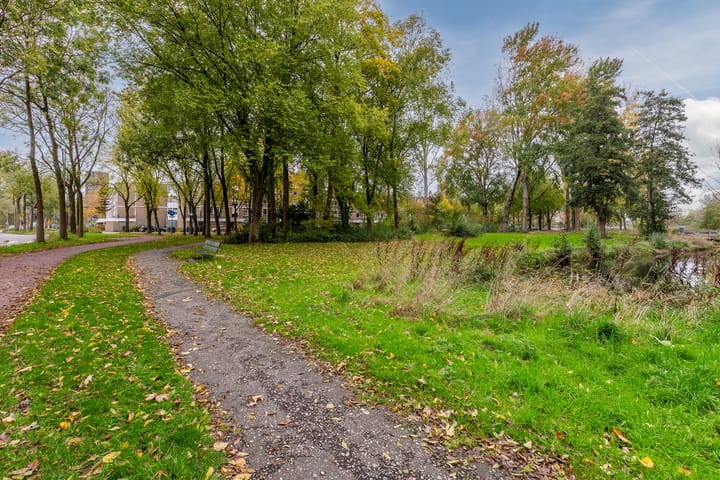 Photo 35 of Midscheeps 37