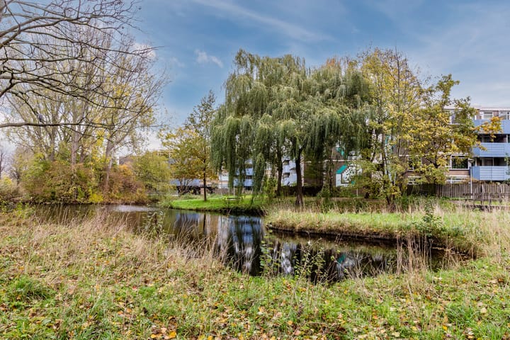 Photo 37 of Midscheeps 37