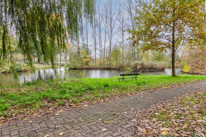 Photo 39 of Midscheeps 37