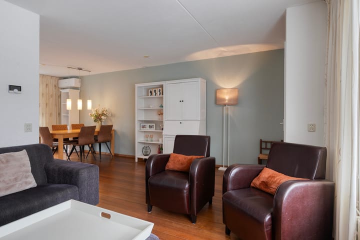 Foto 4 van Buizerd 85