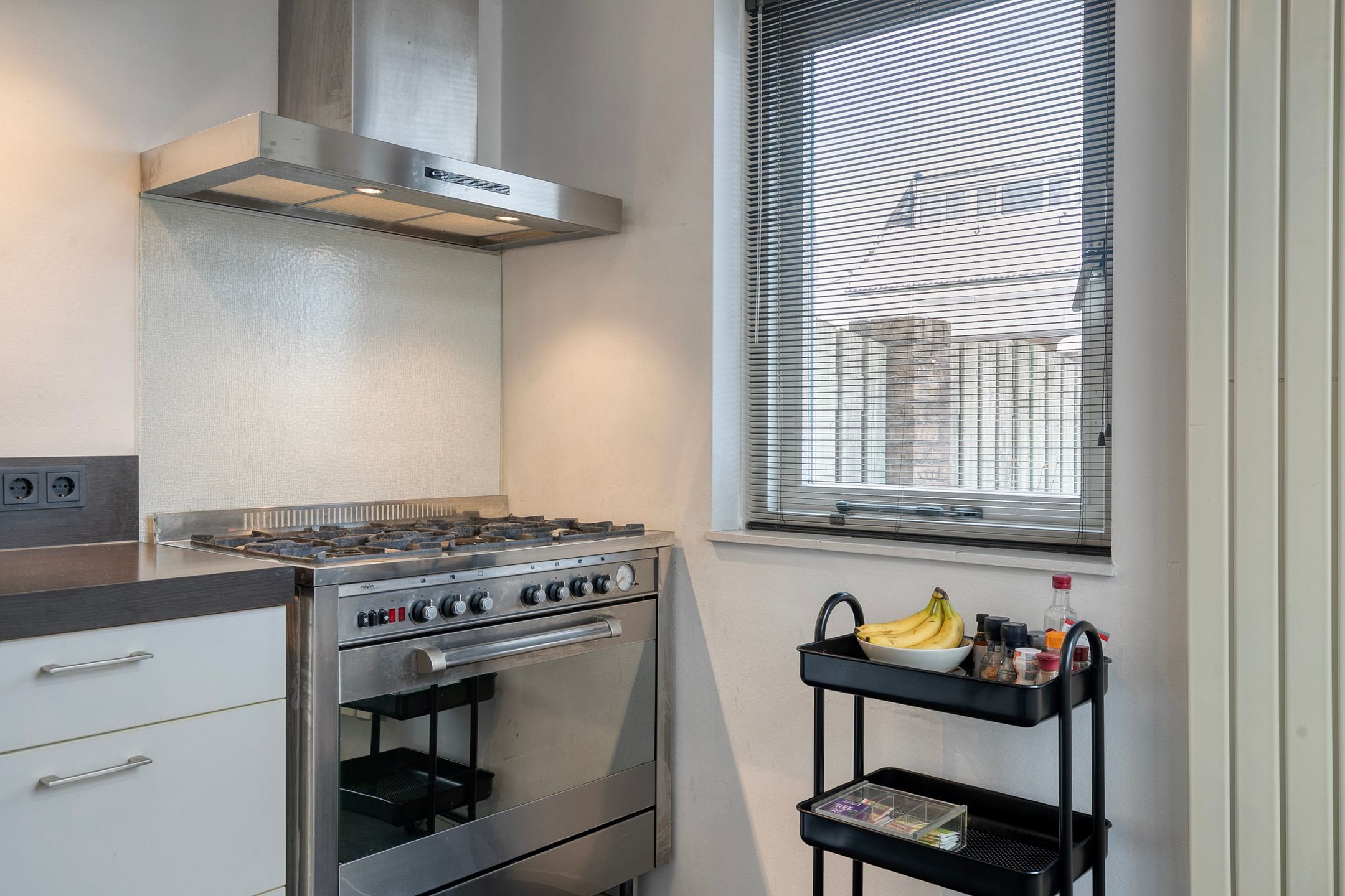 Foto 9 van Buizerd 85