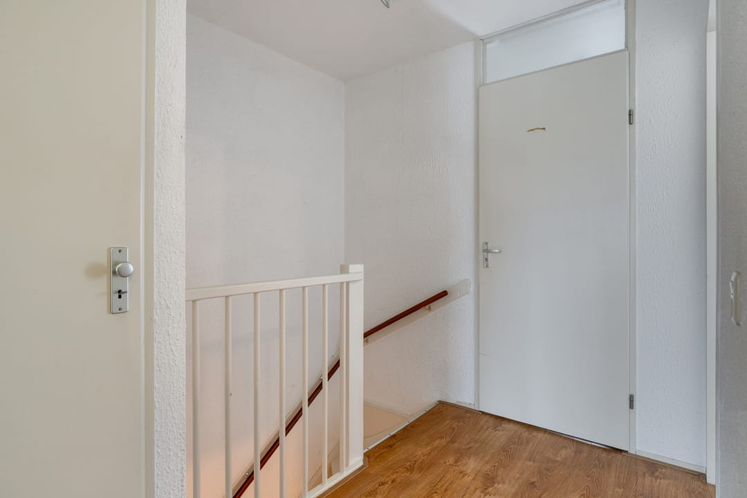 Foto 11 van Buizerd 85