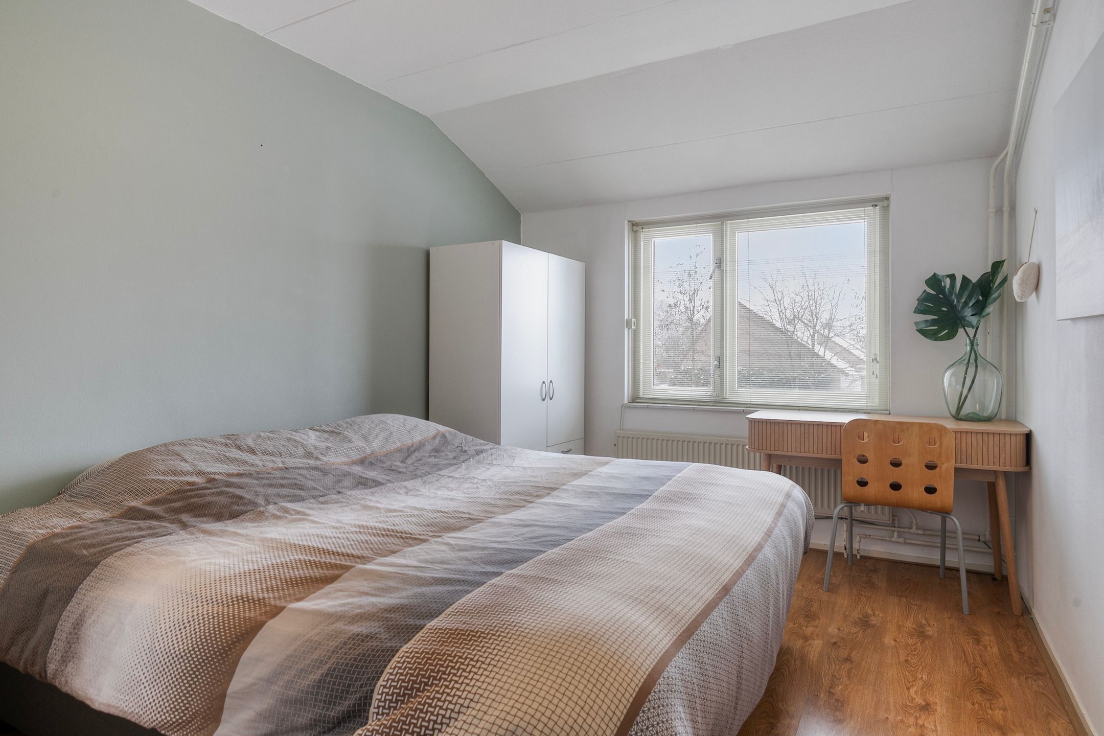 Foto 12 van Buizerd 85