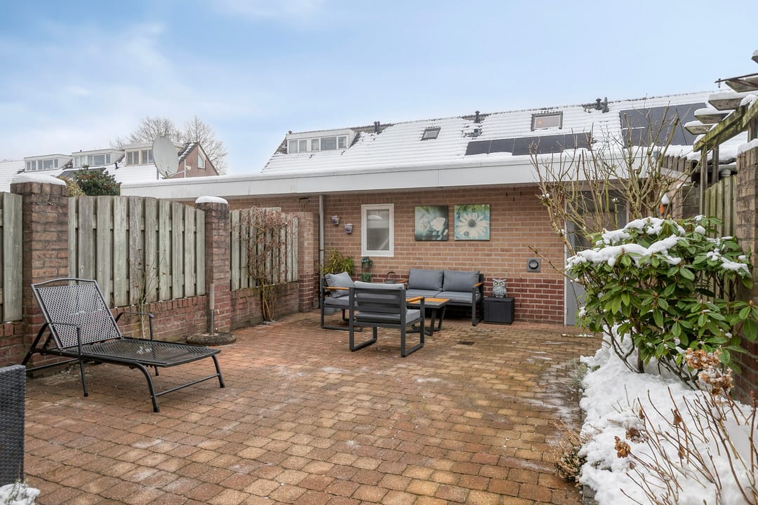 Foto 17 van Buizerd 85