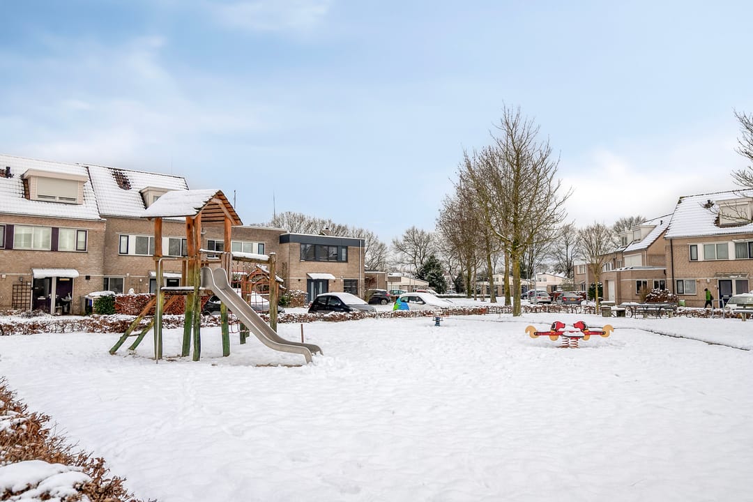 Foto 23 van Buizerd 85