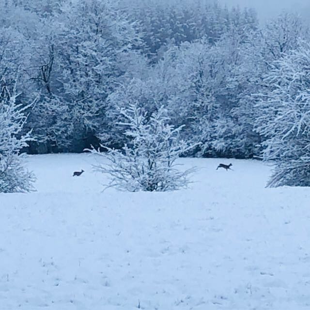 Foto 2 van Galathesedijk 5