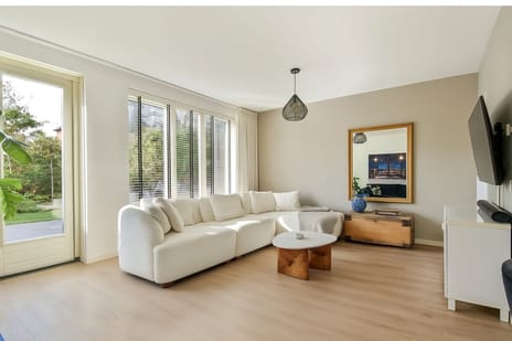 Groene Kikker 11 tertiary image