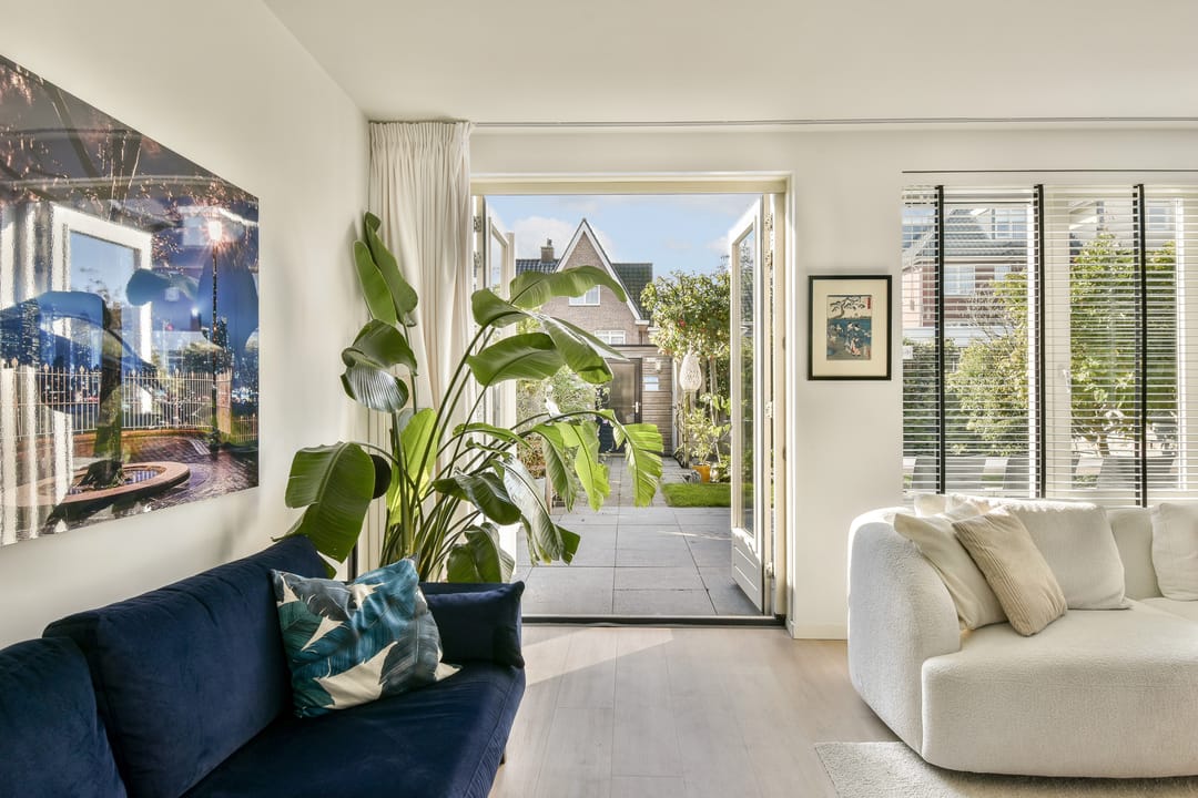 Photo 11 of Groene Kikker 11