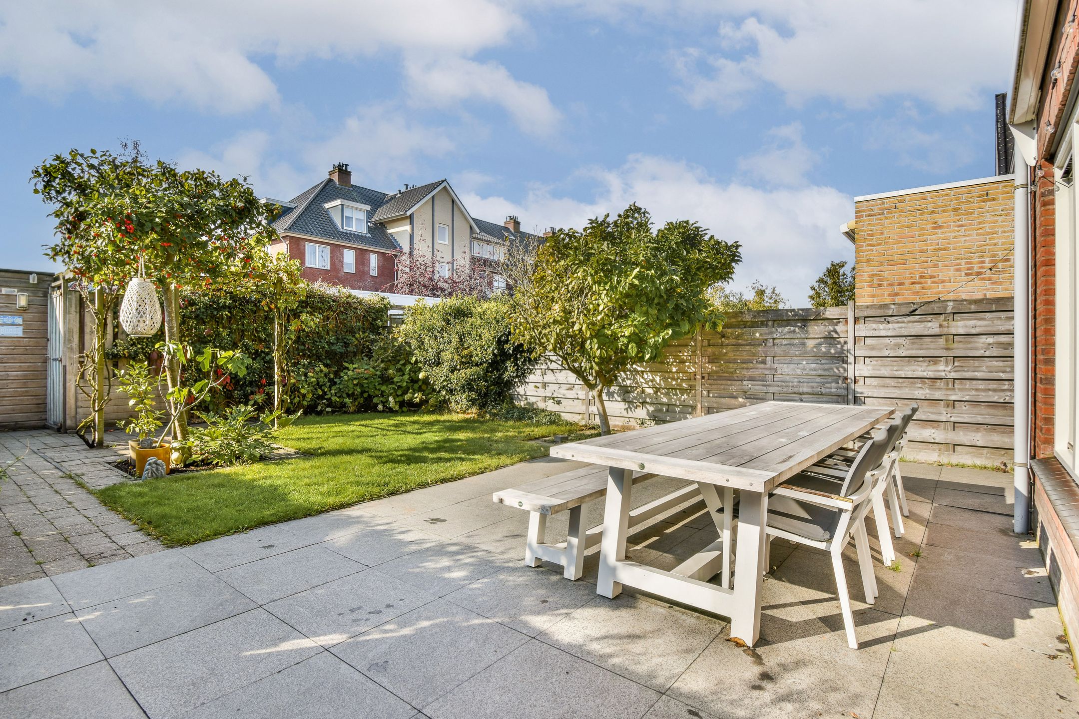 Photo 12 of Groene Kikker 11