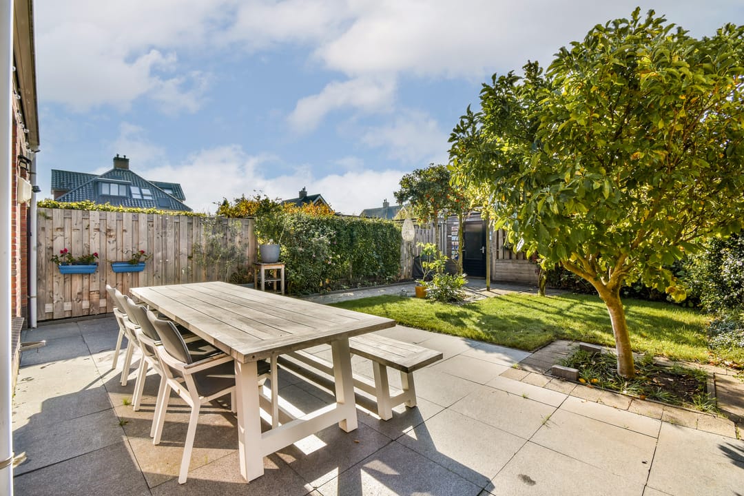 Photo 13 of Groene Kikker 11