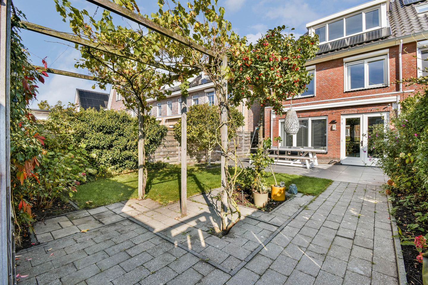 Photo 14 of Groene Kikker 11