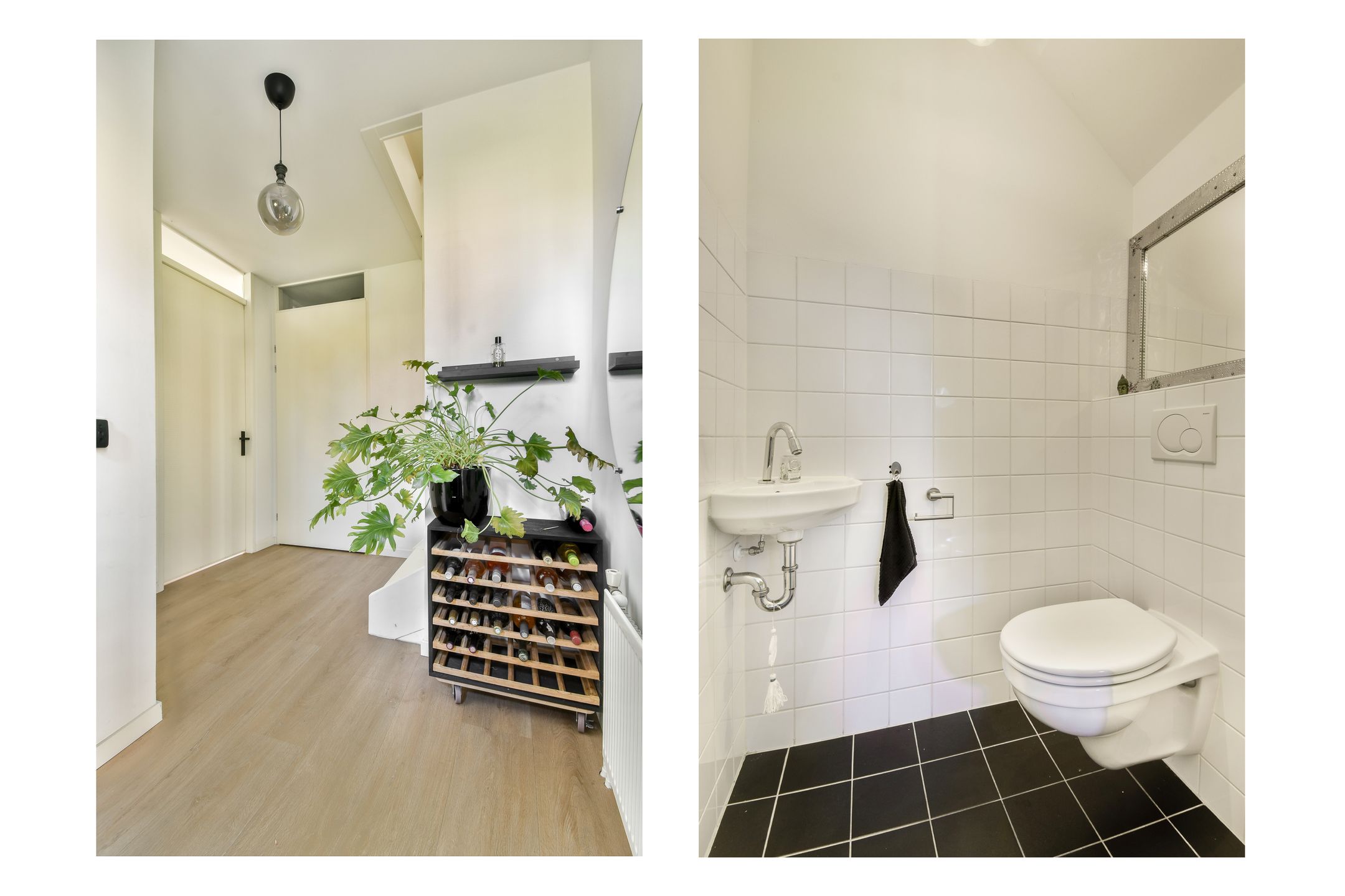 Photo 15 of Groene Kikker 11