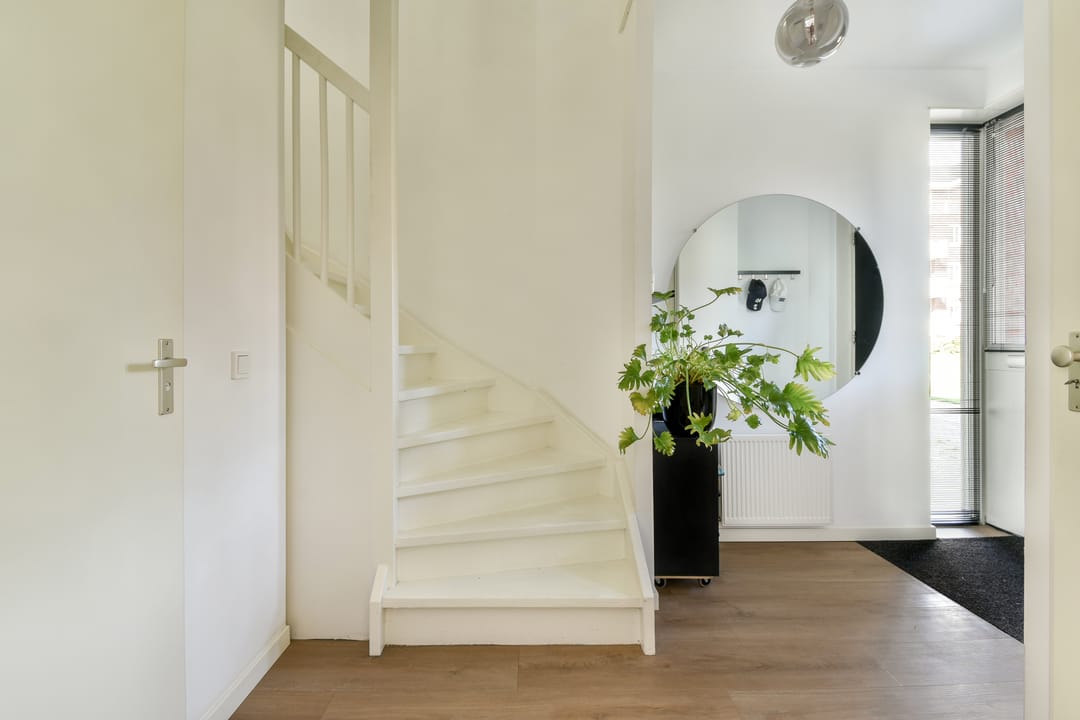 Photo 16 of Groene Kikker 11