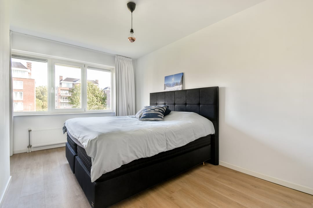 Photo 17 of Groene Kikker 11