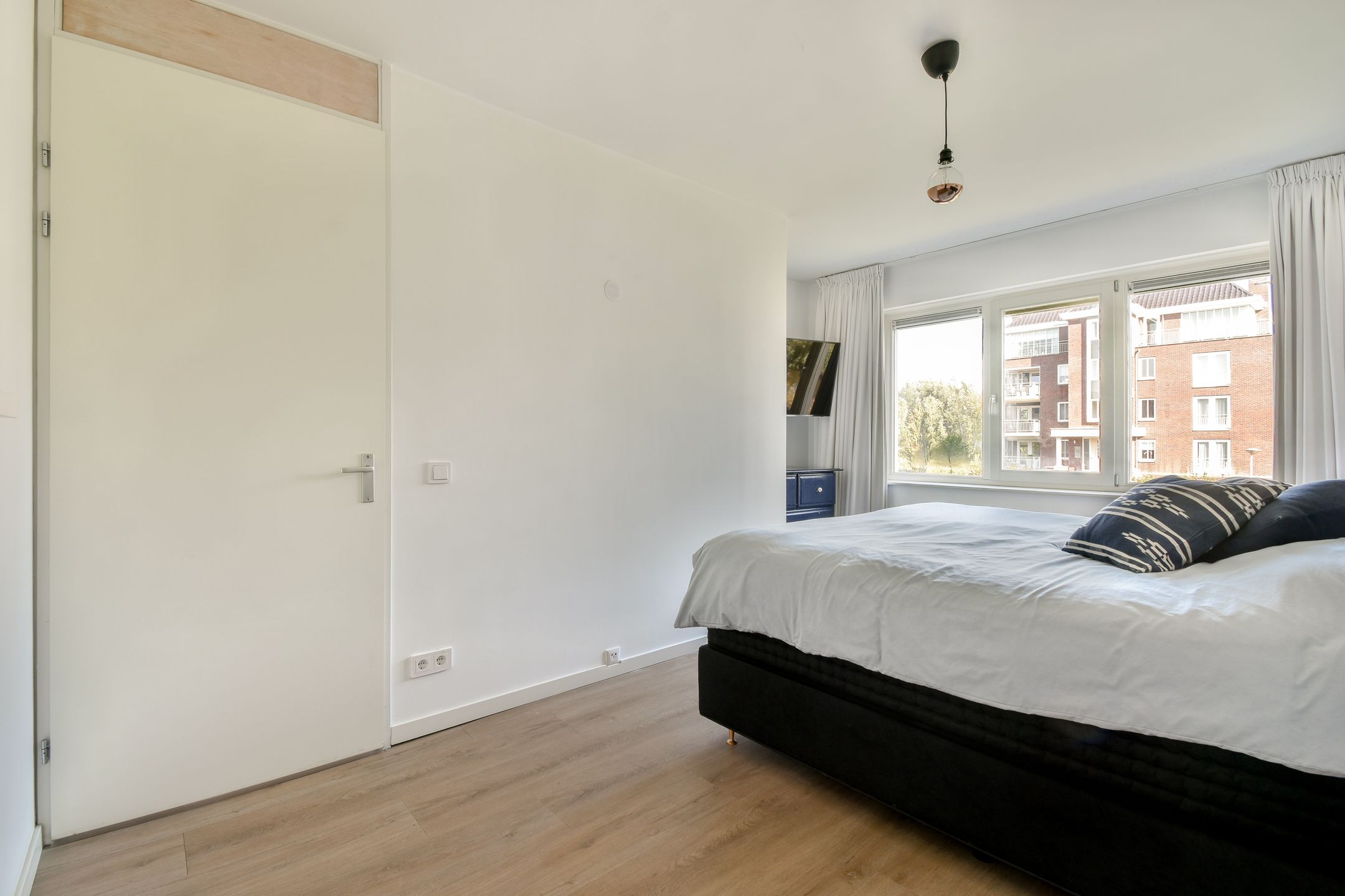 Photo 18 of Groene Kikker 11