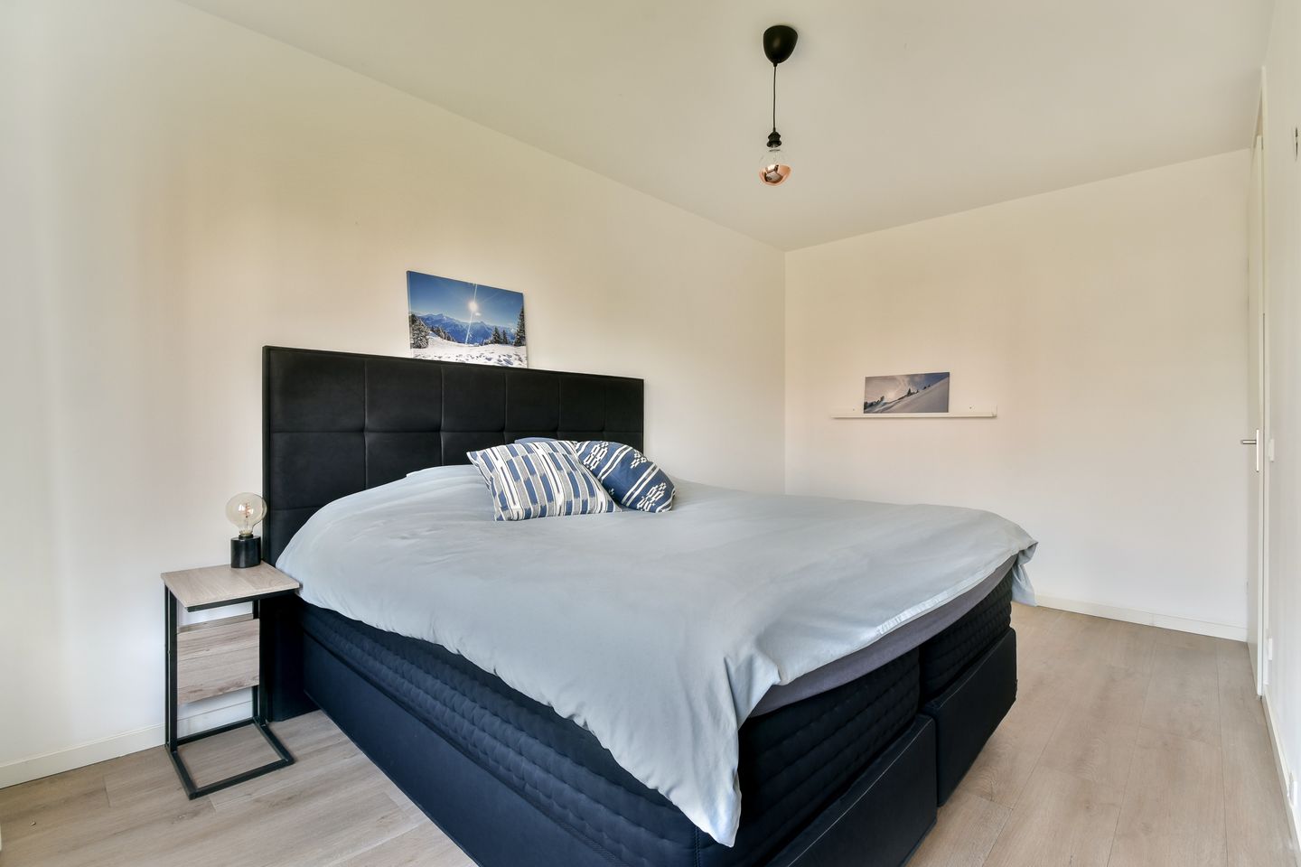 Photo 19 of Groene Kikker 11