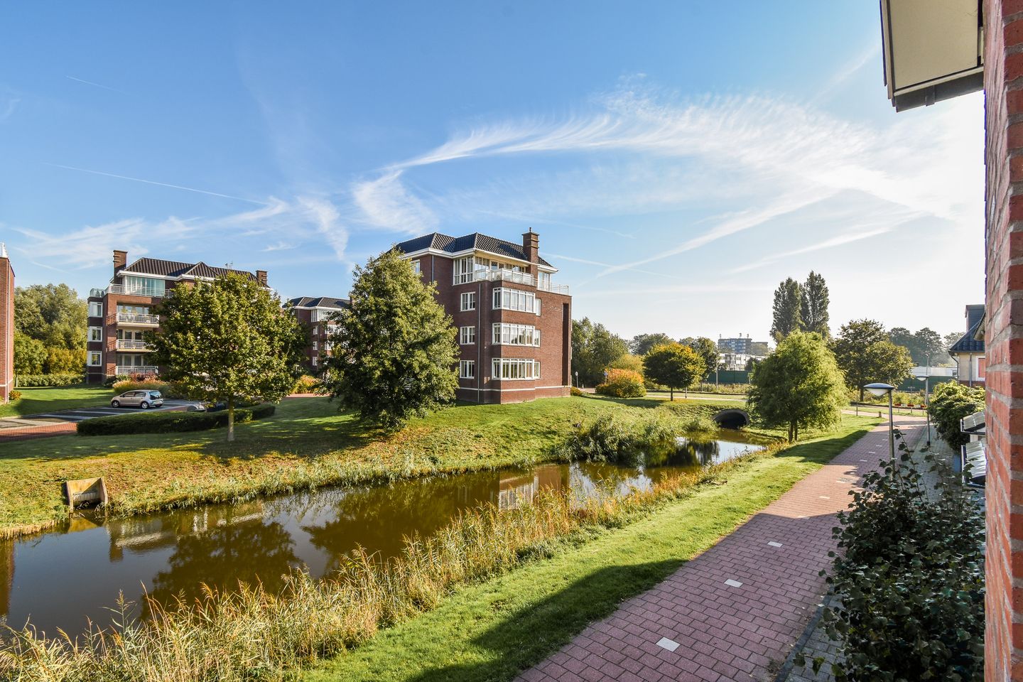 Photo 20 of Groene Kikker 11