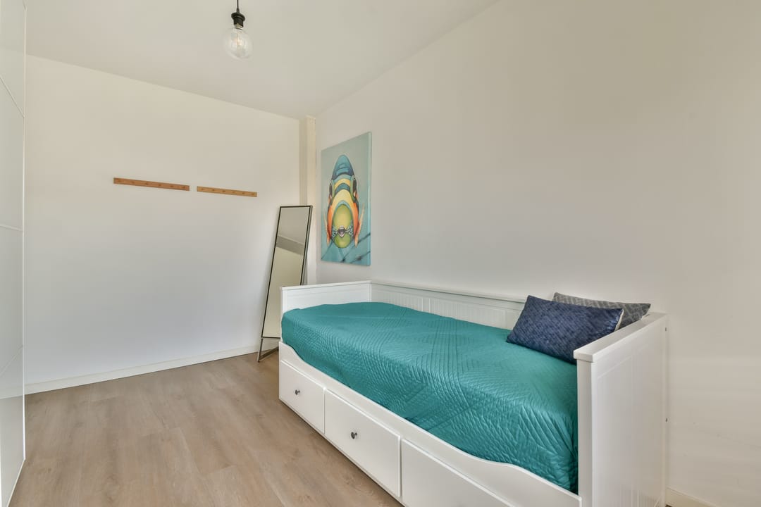 Photo 23 of Groene Kikker 11