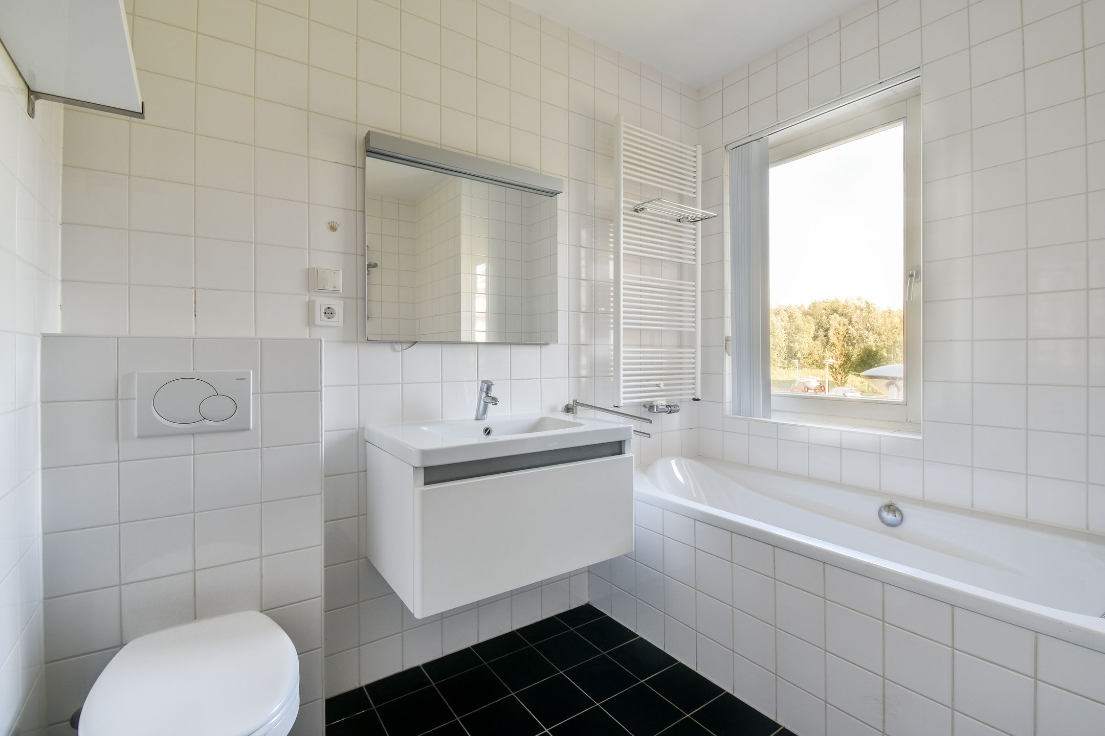 Photo 24 of Groene Kikker 11