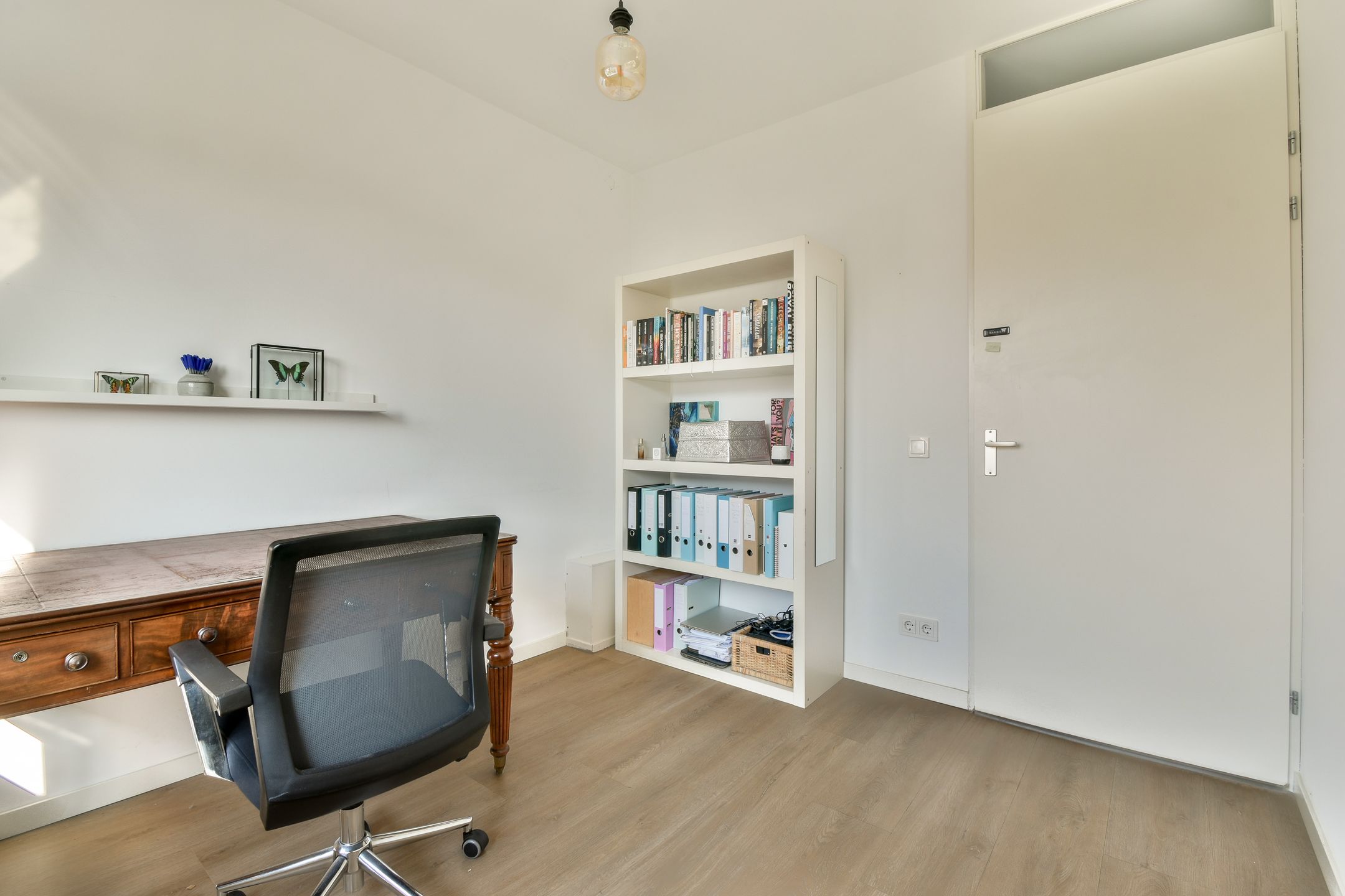 Photo 27 of Groene Kikker 11