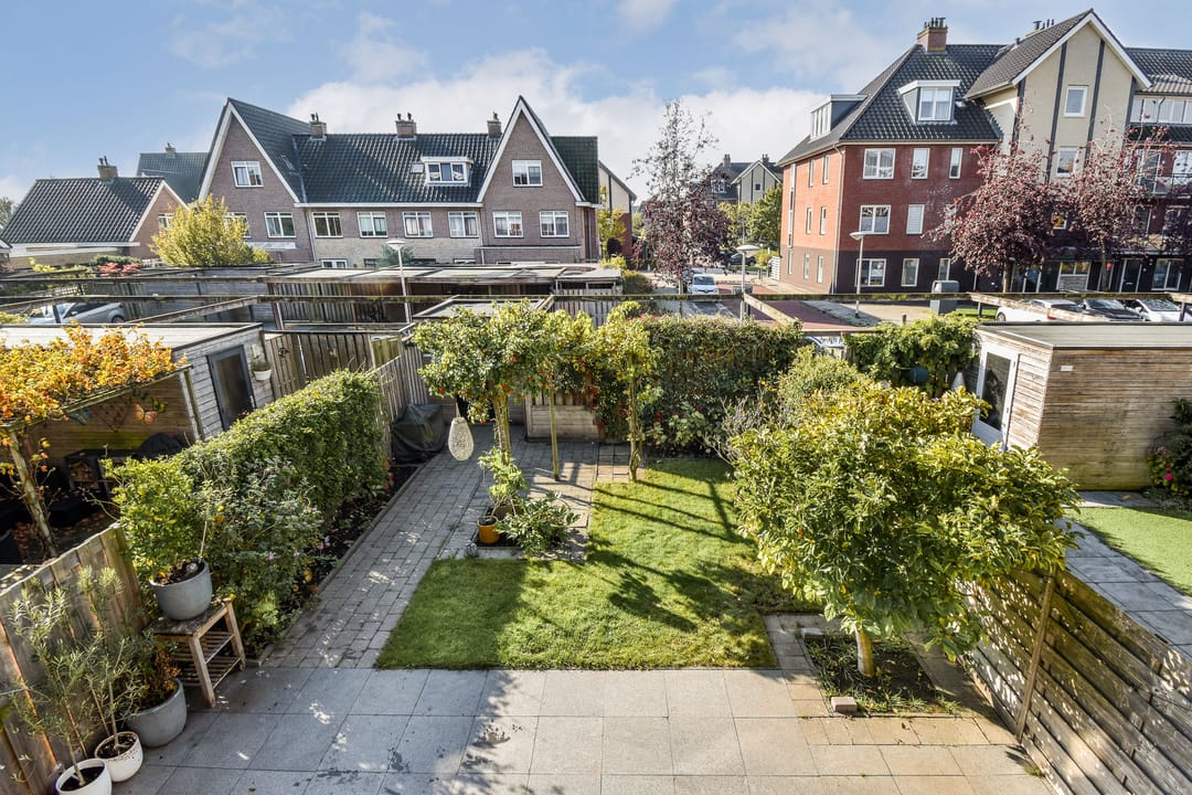 Photo 28 of Groene Kikker 11