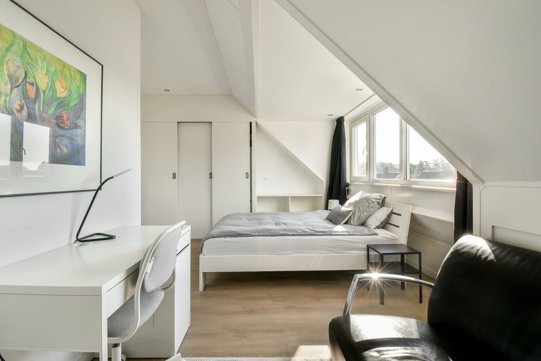 Photo 31 of Groene Kikker 11