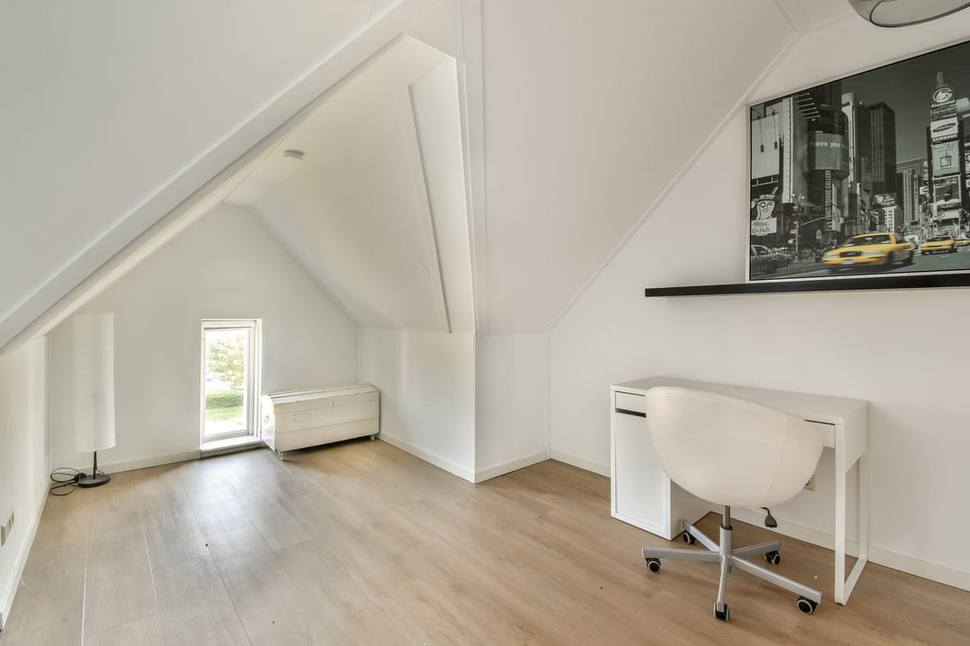 Photo 32 of Groene Kikker 11