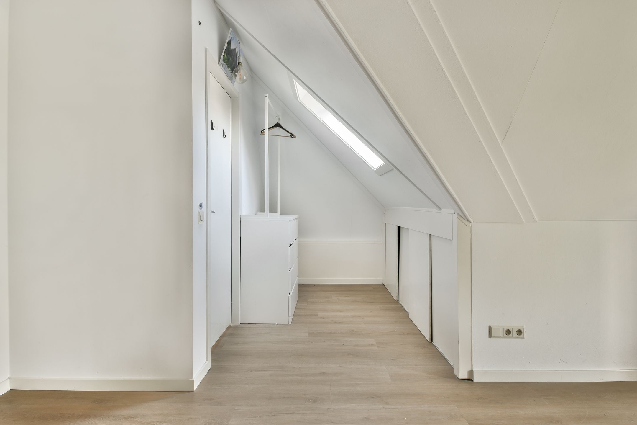 Photo 33 of Groene Kikker 11