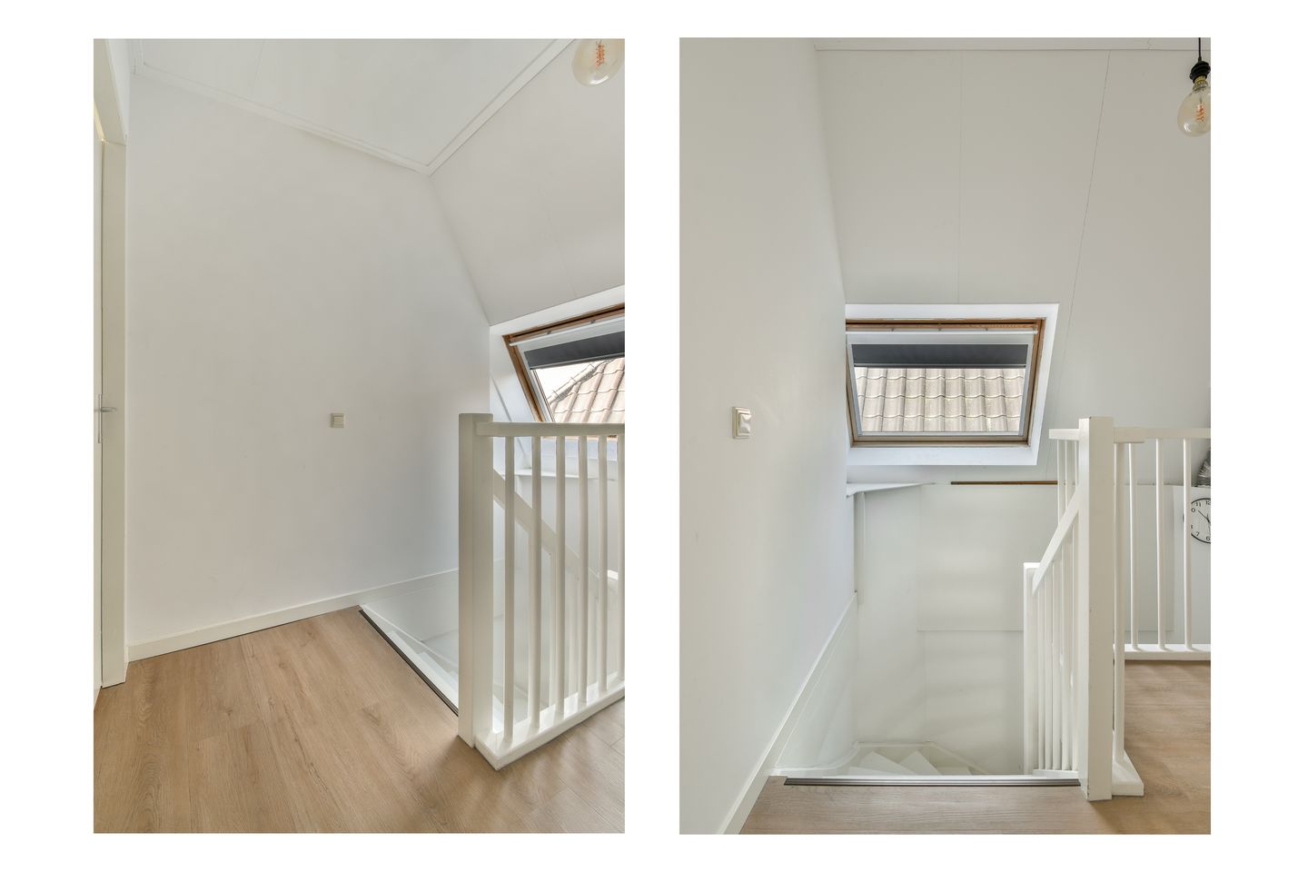 Photo 34 of Groene Kikker 11