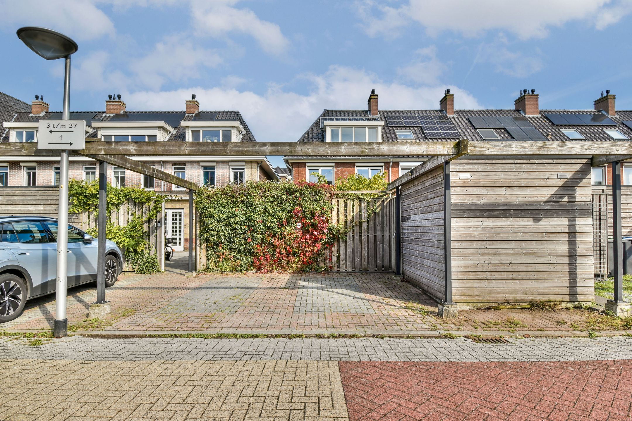 Photo 36 of Groene Kikker 11