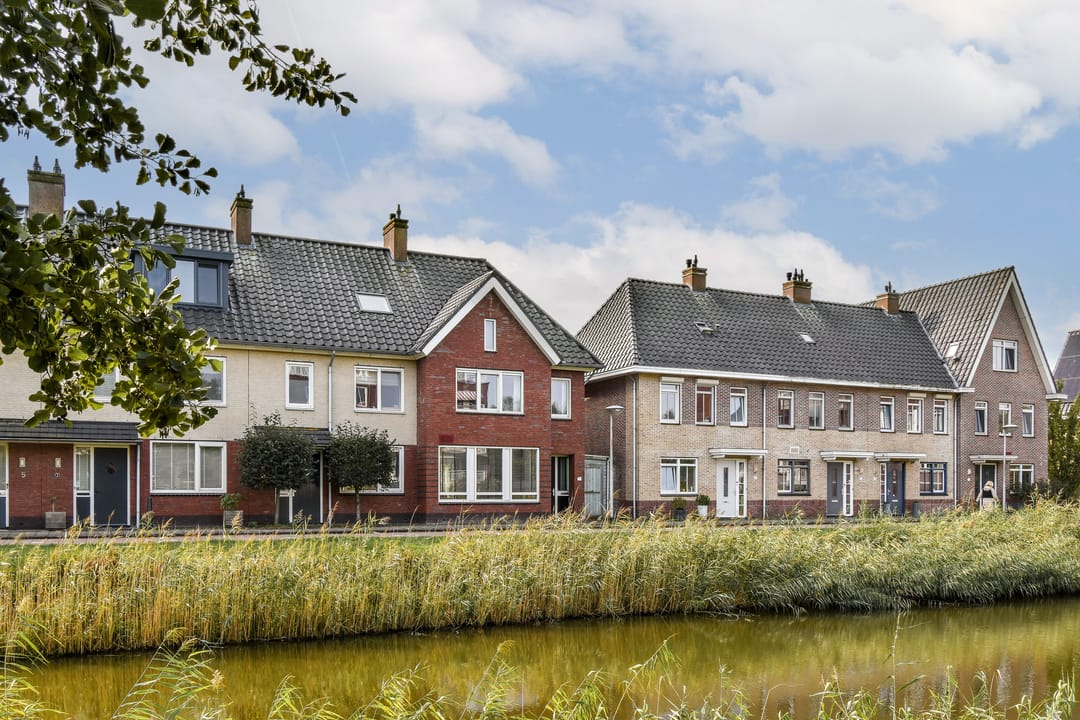 Photo 37 of Groene Kikker 11