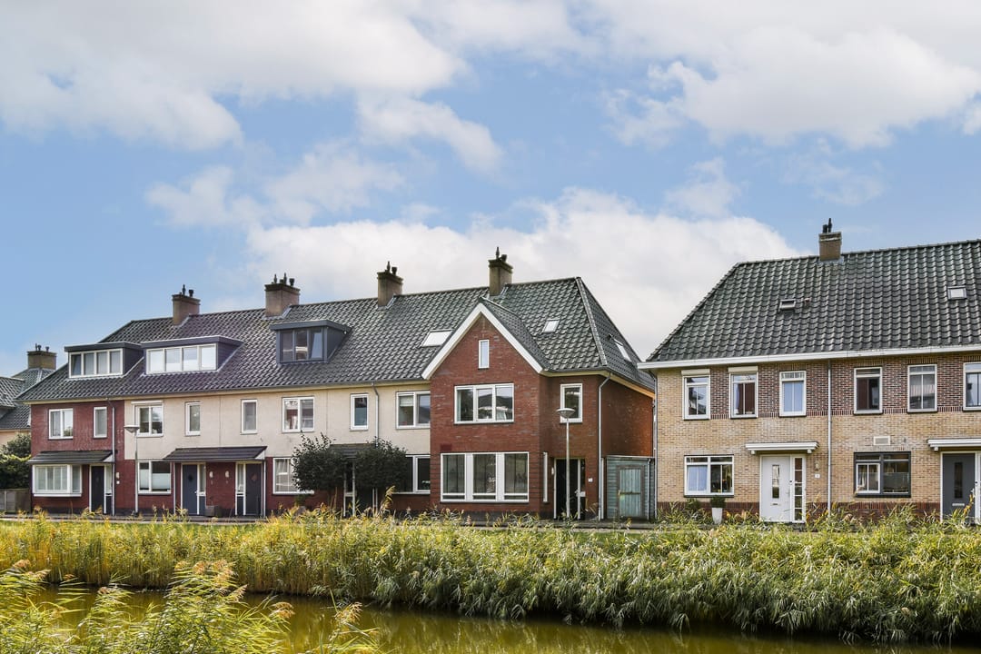 Photo 38 of Groene Kikker 11