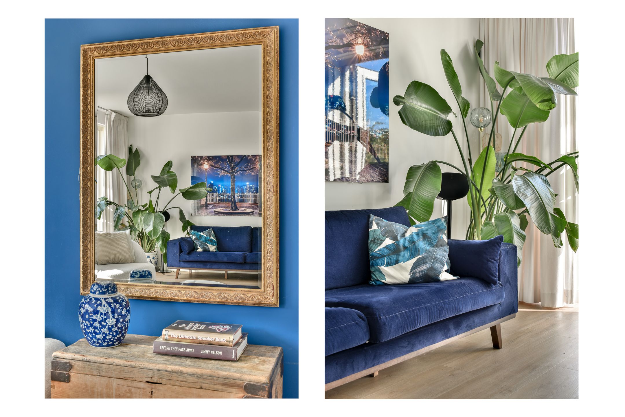 Photo 6 of Groene Kikker 11