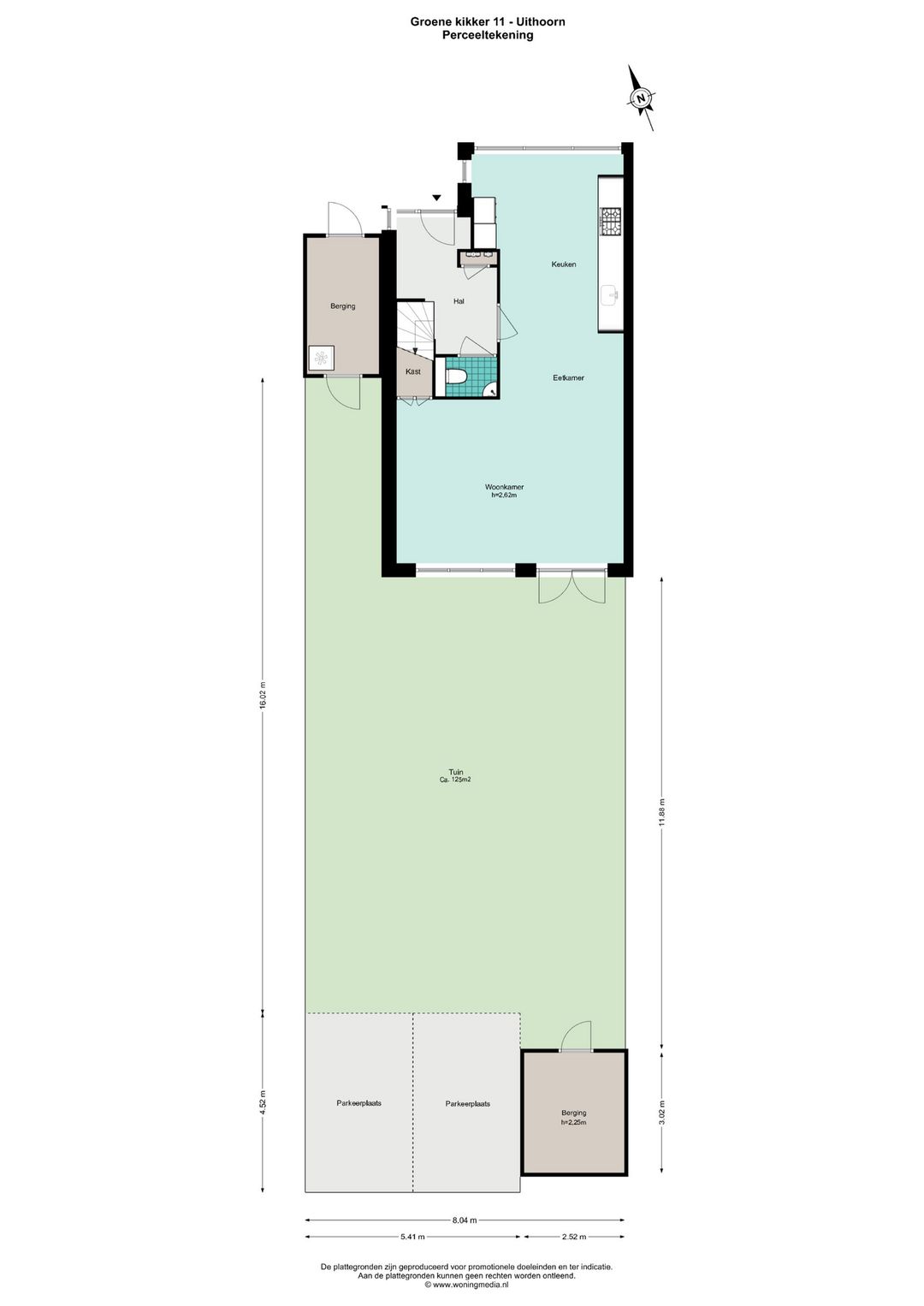 Photo 41 of Groene Kikker 11