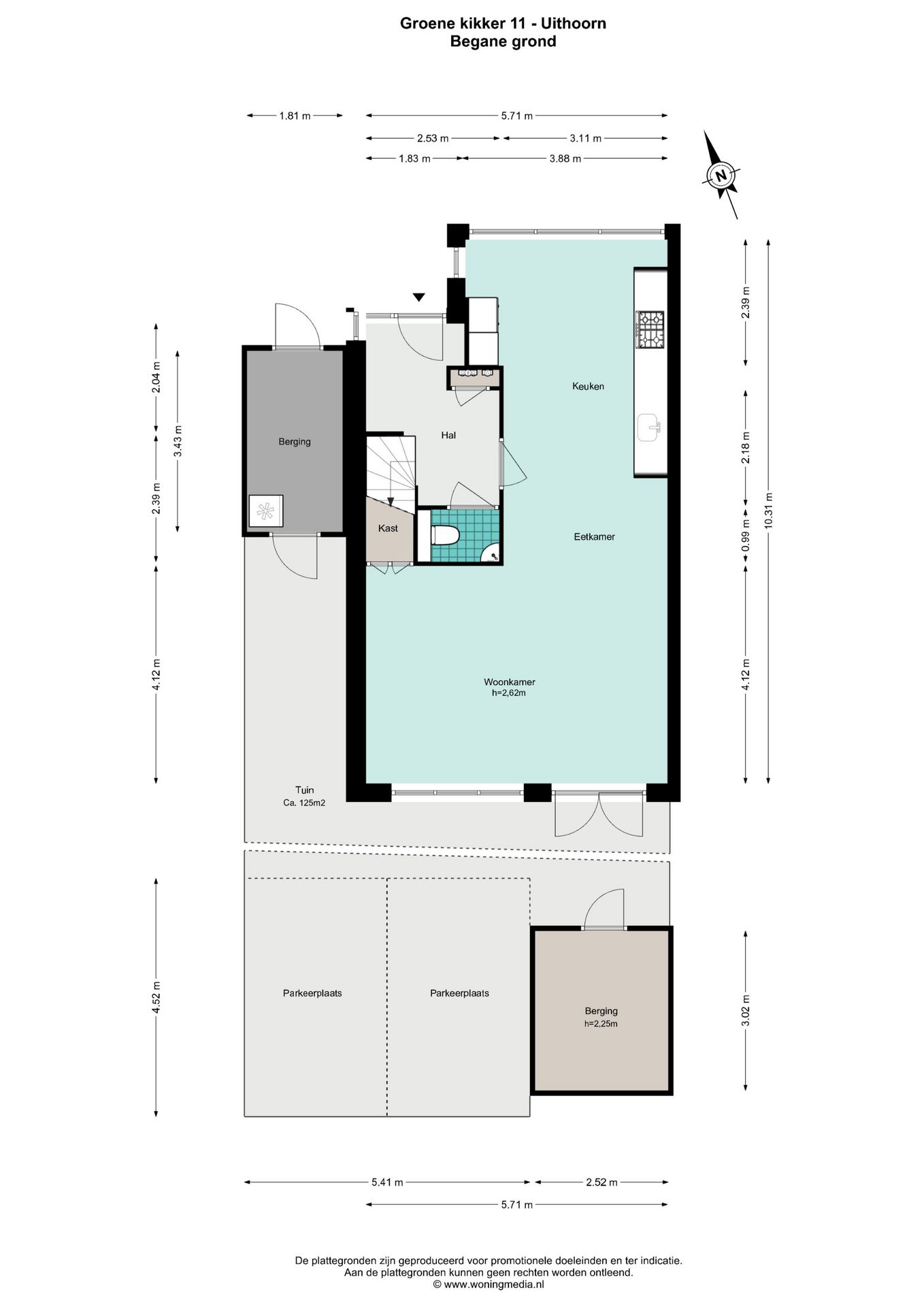 Photo 42 of Groene Kikker 11